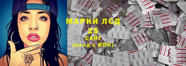 гидра Пестово