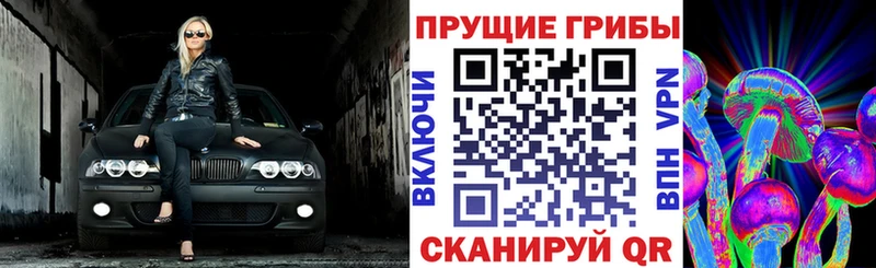Галлюциногенные грибы Psilocybe  цены наркотик  Зеленоградск 