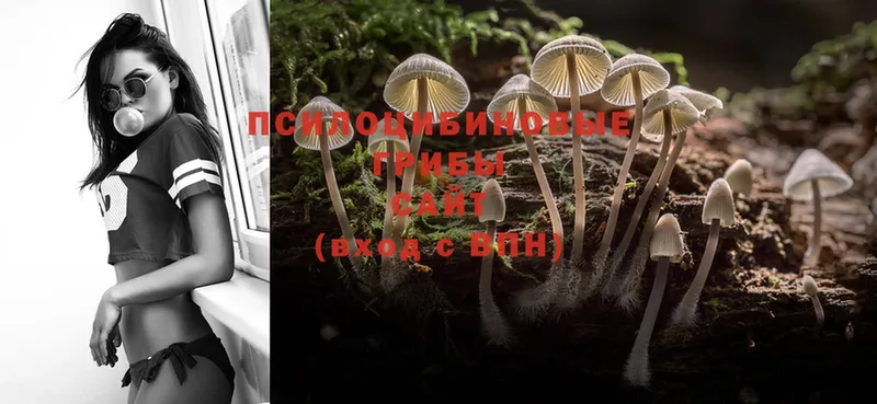 Псилоцибиновые грибы MAGIC MUSHROOMS  ОМГ ОМГ как зайти  Зеленоградск 