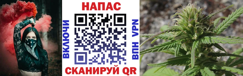 darknet наркотические препараты  Зеленоградск  Конопля семена  купить закладку 